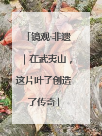 镜观·非遗｜在武夷山，这片叶子创造了传奇