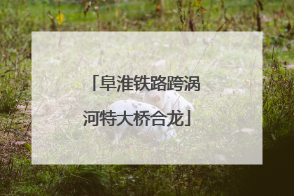 阜淮铁路跨涡河特大桥合龙