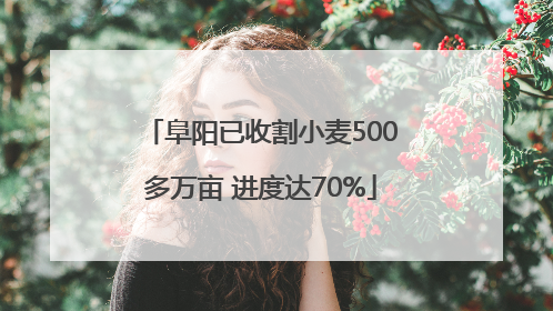 阜阳已收割小麦500多万亩 进度达70%