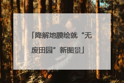 降解地膜绘就“无废田园”新图景