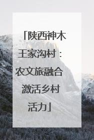 陕西神木王家沟村：农文旅融合 激活乡村活力