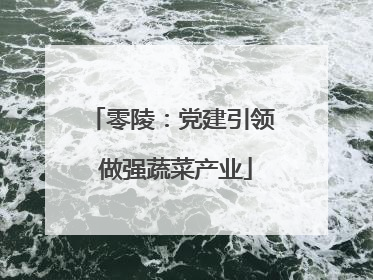 零陵：党建引领 做强蔬菜产业
