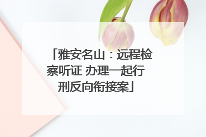 雅安名山：远程检察听证 办理一起行刑反向衔接案