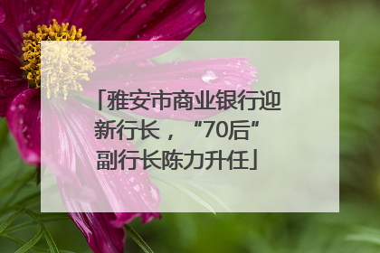 雅安市商业银行迎新行长，“70后”副行长陈力升任