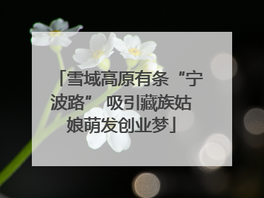 雪域高原有条“宁波路” 吸引藏族姑娘萌发创业梦
