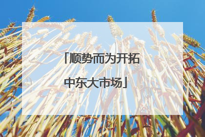 顺势而为开拓中东大市场