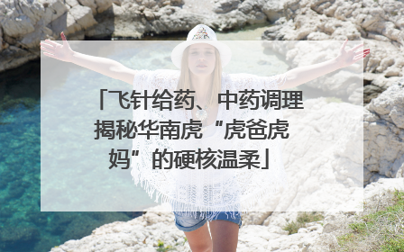 飞针给药、中药调理 揭秘华南虎“虎爸虎妈”的硬核温柔
