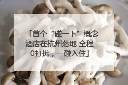 首个“碰一下”概念酒店在杭州落地 全程0打扰，一碰入住