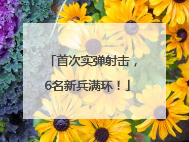 首次实弹射击，6名新兵满环！