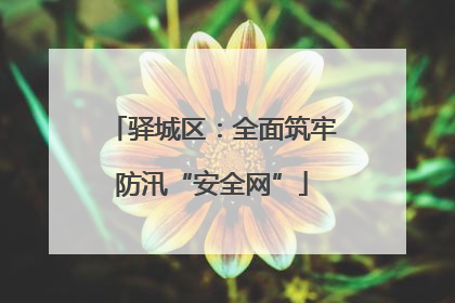 驿城区：全面筑牢防汛“安全网”