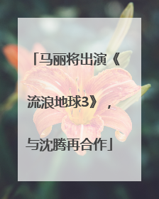 马丽将出演《流浪地球3》，与沈腾再合作