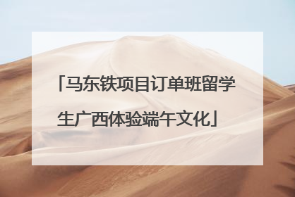 马东铁项目订单班留学生广西体验端午文化