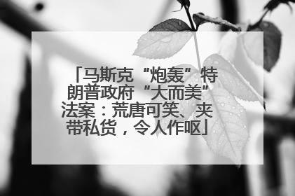 马斯克“炮轰”特朗普政府“大而美”法案：荒唐可笑、夹带私货，令人作呕