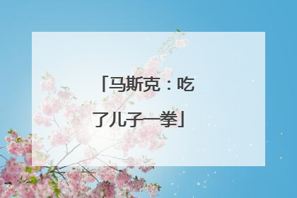马斯克：吃了儿子一拳
