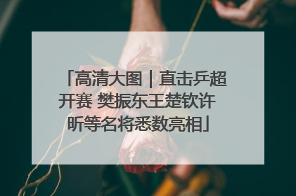 高清大图｜直击乒超开赛 樊振东王楚钦许昕等名将悉数亮相