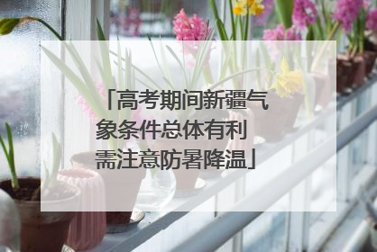 高考期间新疆气象条件总体有利 需注意防暑降温