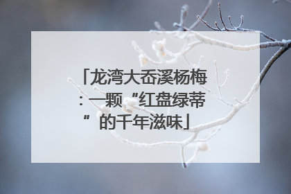 龙湾大岙溪杨梅：一颗“红盘绿蒂”的千年滋味