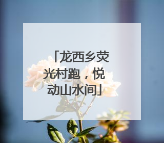龙西乡荧光村跑，悦动山水间