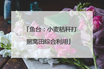 鱼台：小麦秸秆打捆离田综合利用
