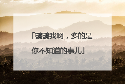 鹮鹮我啊，多的是你不知道的事儿