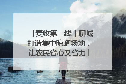 麦收第一线丨聊城打造集中晾晒场地，让农民省心又省力