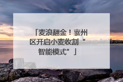 麦浪翻金！襄州区开启小麦收割“智能模式”