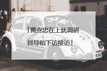黄喜忠在上犹调研督导和下访接访