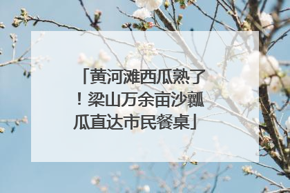 黄河滩西瓜熟了！梁山万余亩沙瓤瓜直达市民餐桌