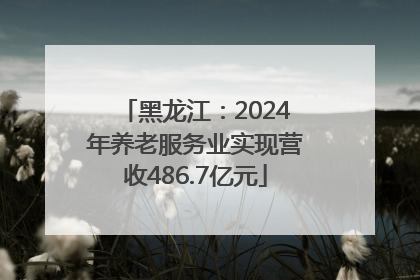 黑龙江：2024年养老服务业实现营收486.7亿元