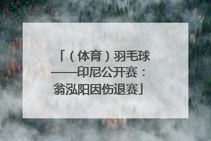 （体育）羽毛球——印尼公开赛：翁泓阳因伤退赛
