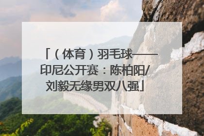 （体育）羽毛球——印尼公开赛：陈柏阳/刘毅无缘男双八强