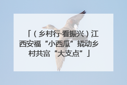 （乡村行·看振兴）江西安福“小西瓜”撬动乡村共富“大支点”