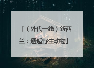 （外代一线）新西兰：邂逅野生动物