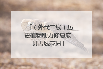 （外代二线）历史植物助力修复庞贝古城花园