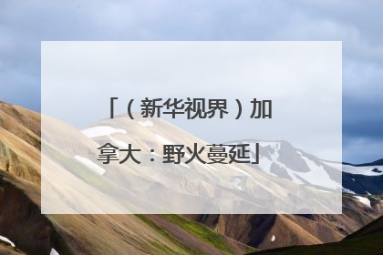 （新华视界）加拿大：野火蔓延