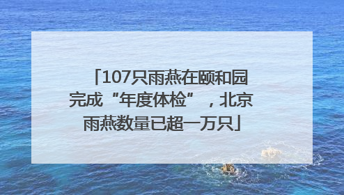 107只雨燕在颐和园完成“年度体检”，北京雨燕数量已超一万只