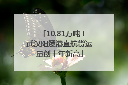10.81万吨！武汉阳逻港直航货运量创十年新高