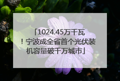 1024.45万千瓦！宁波成全省首个光伏装机容量破千万城市