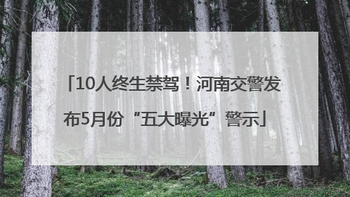 10人终生禁驾！河南交警发布5月份“五大曝光”警示