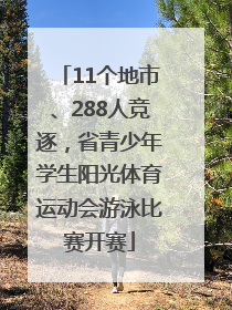 11个地市、288人竞逐，省青少年学生阳光体育运动会游泳比赛开赛