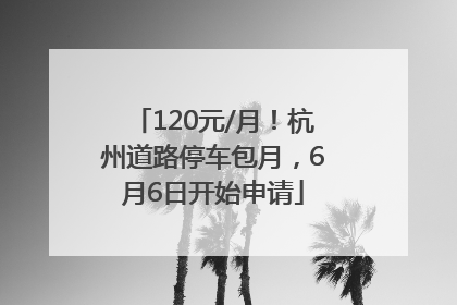 120元/月！杭州道路停车包月，6月6日开始申请