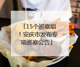 15个巡察组！安庆市发布专项巡察公告