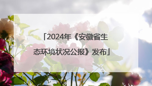 2024年《安徽省生态环境状况公报》发布