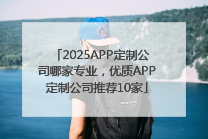 2025APP定制公司哪家专业，优质APP定制公司推荐10家