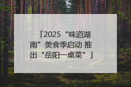 2025“味道湖南”美食季启动 推出“岳阳一桌菜”