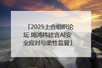 2025上合组织论坛 周鸿祎建言AI安全应对与柔性监管
