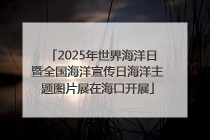 2025年世界海洋日暨全国海洋宣传日海洋主题图片展在海口开展