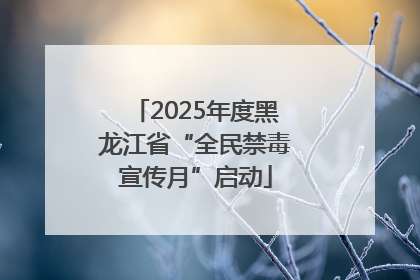 2025年度黑龙江省“全民禁毒宣传月”启动