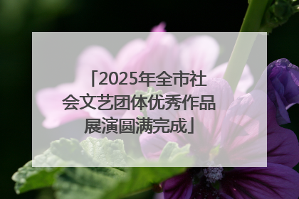 2025年全市社会文艺团体优秀作品展演圆满完成
