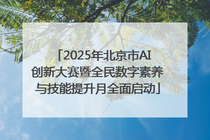 2025年北京市AI创新大赛暨全民数字素养与技能提升月全面启动